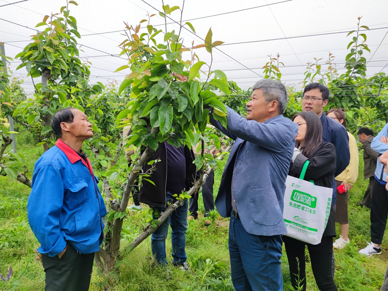 1619775513421989.jpg 第二期梨技術培訓會2_副本.jpg