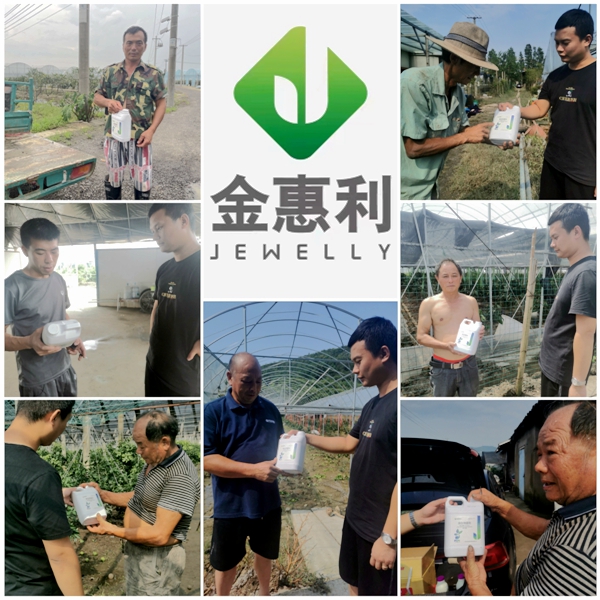 寧波金惠利為臺風受災(zāi)地區(qū)&ldquo;農(nóng)友會&rdquo;成員送溫暖