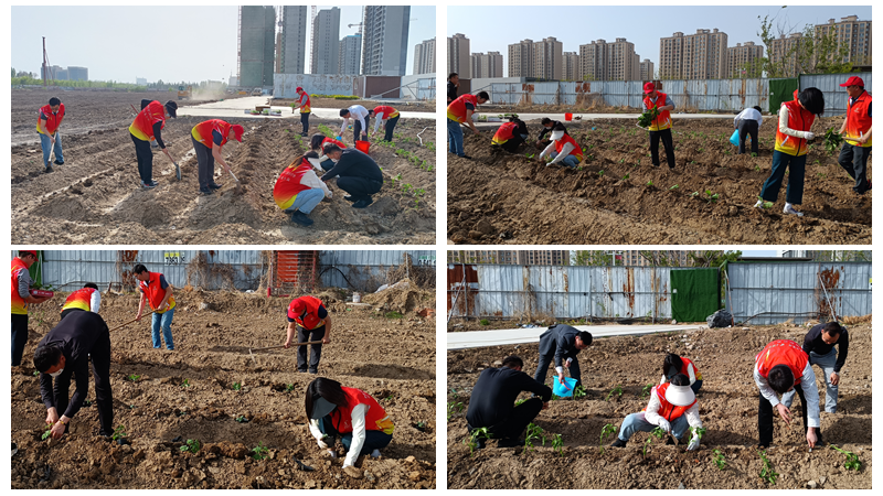 濟(jì)寧華都黨員公益服務(wù)隊(duì)開(kāi)展&ldquo;植蔬助困&rdquo;公益活動(dòng)